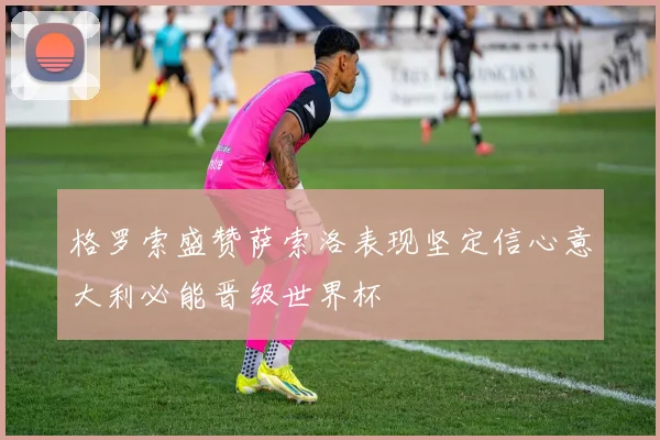 格罗索盛赞萨索洛表现坚定信心意大利必能晋级世界杯
